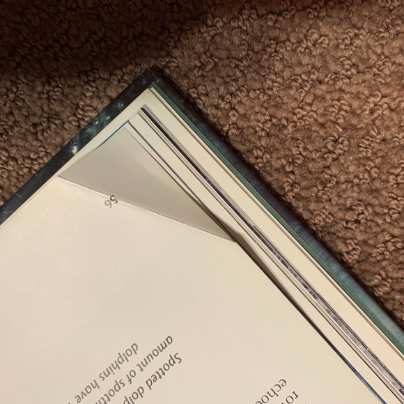 Whales & Dolphins Book (3 for $20) - Picture 7 of 8